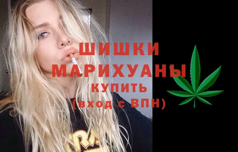 Марихуана ГИДРОПОН  купить закладку  Сыктывкар 